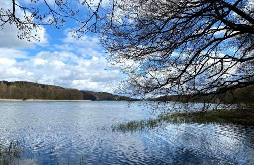 DOM NA KASZUBACH, SAUNA i BALIA - Foto 36