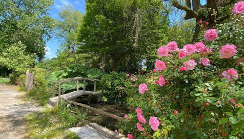Semi-detached house, St Sauveur-le-Vicomte - Foto 3, Garden
