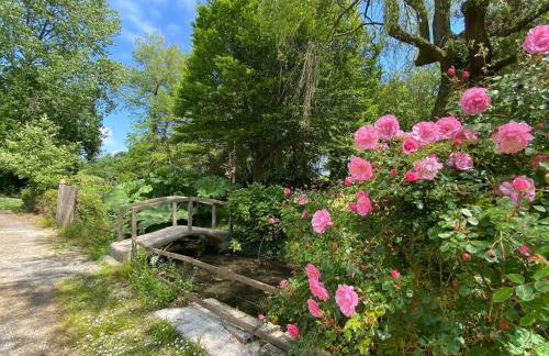 Semi-detached house, St Sauveur-le-Vicomte - Foto 3