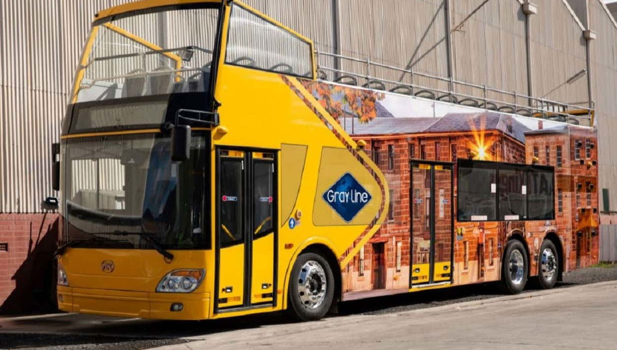 Sightseeing Bus Tour of Hobart + MONA - Foto 1