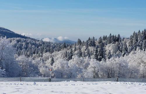 Appartement lumineux 3 chambres, terrasse, proche commerces et ski, avec WiFi - FR-1-589-677 - Foto 11