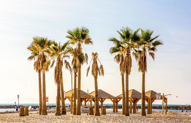 Premium suites on Beach Ben Yehuda 43 - Foto 27