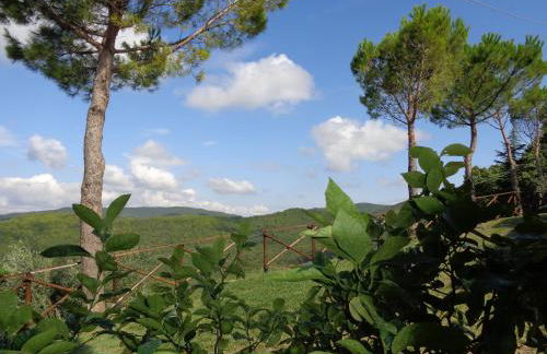 La Corte dei Banchetti - Foto 25