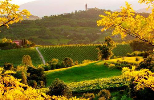 Agriturismo Le Spezie - Foto 6