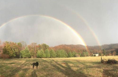 Three Springs Plus - Foto 19