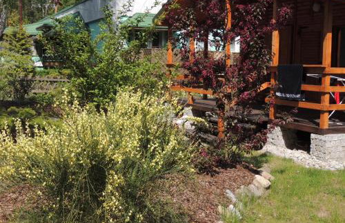 Ośrodek Wypoczynkowy "Puszczyk" Wolnostojące Domki z Bali - Foto 17