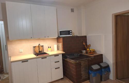 Bieszczadzka Chata Stańkowa - Foto 17