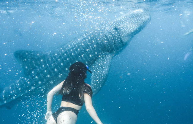 Alquiler de barco con patrón en Maafushi - Foto 4