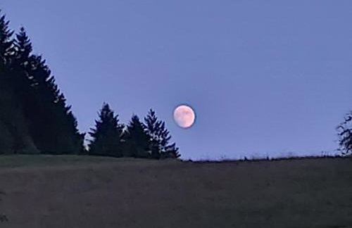 Unterer Gurethshof - Foto 14