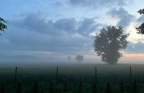 U Progu Lasu - Foto 76