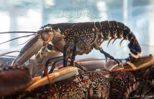 Le brise lame beau gîte à 2 pas de la plage - Foto 57