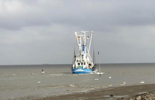 Ferienwohnung Capitano - Foto 11