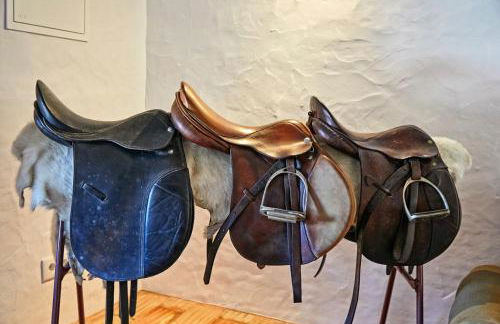 Casa de Veiros - Estremoz - Foto 17