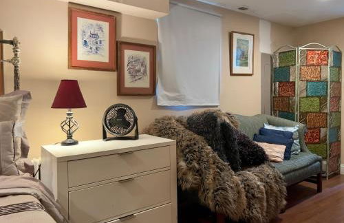 Charming 1-bedroom Basement Close to DC Pets Allowed - Photo 3