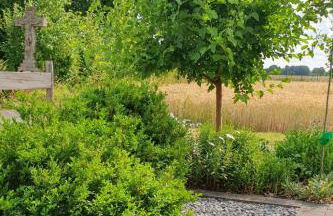 Apartment Im Grünen by Interhome - Foto 4