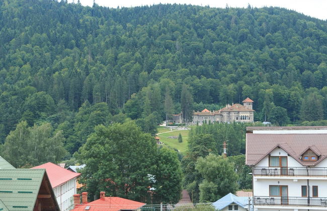 Mountain Valley View - Foto 19