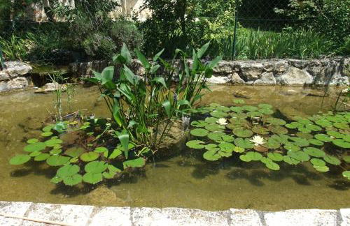 Gite La Paillote - Foto 72