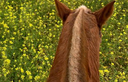 El Refugio de Felix - Photo 67