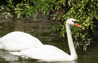Château de la Mothe de Vicq - Allier, à proximité de Vichy - Foto 33