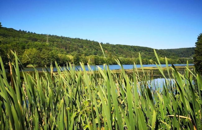 Lovely Apartment in Bollendorf near South Eifel Nature Park - Photo 38