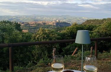 Agriturismo Affaccio su Orvieto - Foto 8