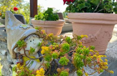 Villa Matilde - Foto 10