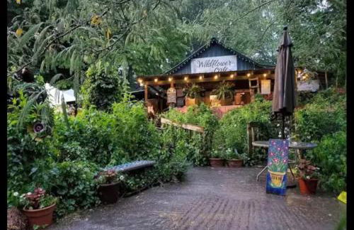 Big Yard Family Getaway - Pets OK - Grill and Hike - Foto 11