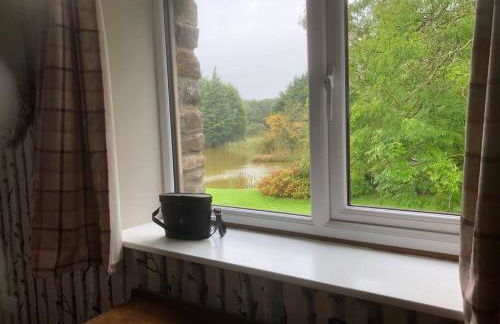 Rhedyn - Cosy Fishing Lodge Near Aberaeron - Photo 40