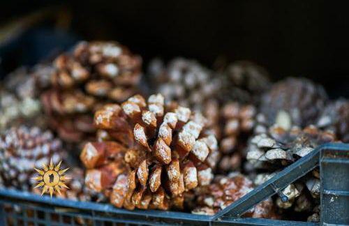 Soul River - Rifugio Zen sul Ruscello - Foto 19