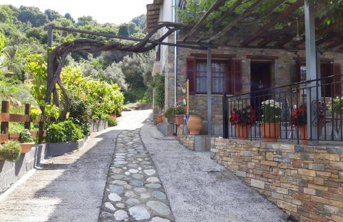 Ammos papanero - Foto 31