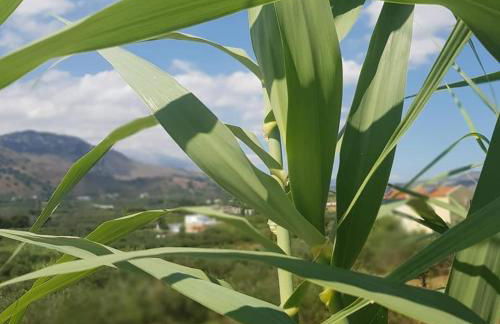 Katy's Luxury Apartments - Photo 18