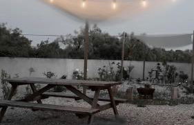 M Butterfly - Foto 25