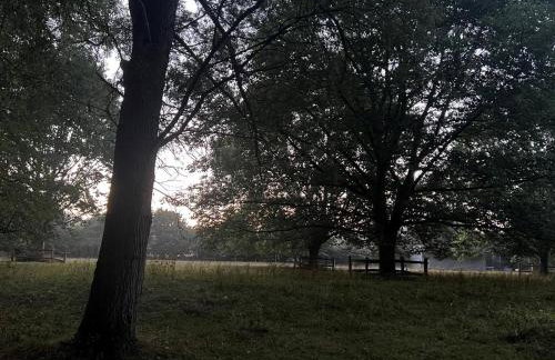 1 Bed in Eye- oc-34390 - Foto 6