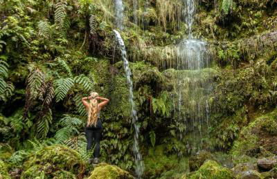 Pana House - Photo 52