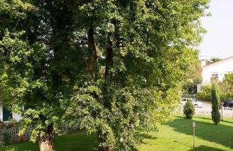 Villa magnolia - Foto 36