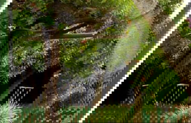 De Doornkraal Vinotel - Foto 29