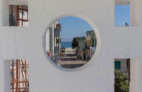 Stella Bianca - Foto 19