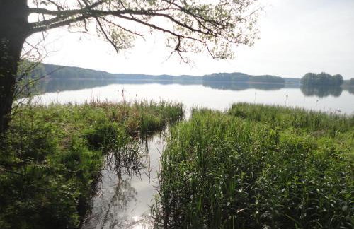 Ośrodek Wypoczynkowy Jaszczurka - Foto 80