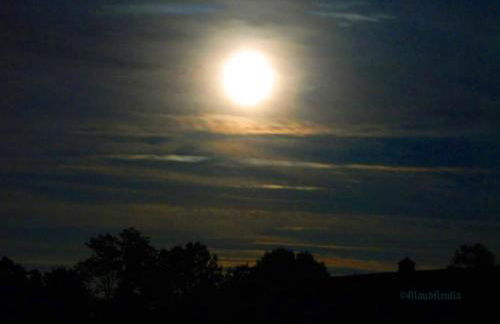 Villa Maud - Foto 17