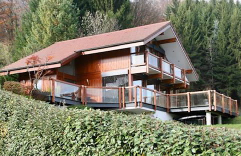 Saint-Jorioz, villa , terrasse 8pers - Photo 2