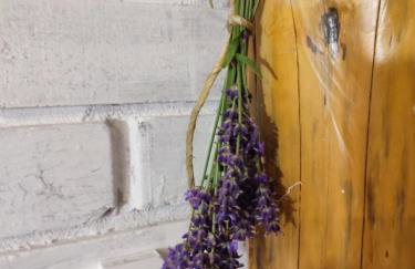 PIZUNY Dom pod dębem z balią na wyłączność - Foto 40