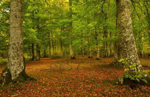 Casa Rural Lenco - Foto 74