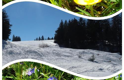 Ferienwohnung BUTTERBLUME, Feldberg - Haus Wiesenquelle - Foto 57