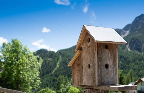 Residence Barbara - Foto 7