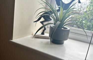 Shepherds Hut - Photo 27