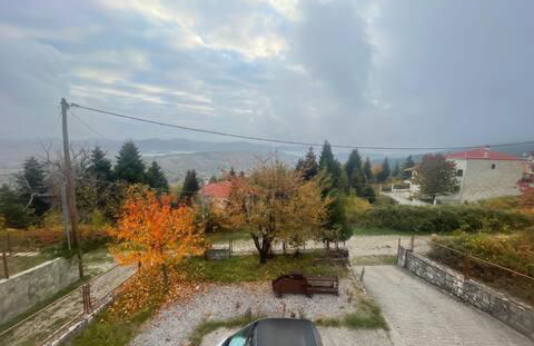 Forest House - Photo 17