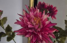 Maison au milieu des vignes - Photo 17