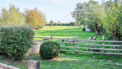 Tranquil and cosy cottage on the Somerset Levels - Foto 4