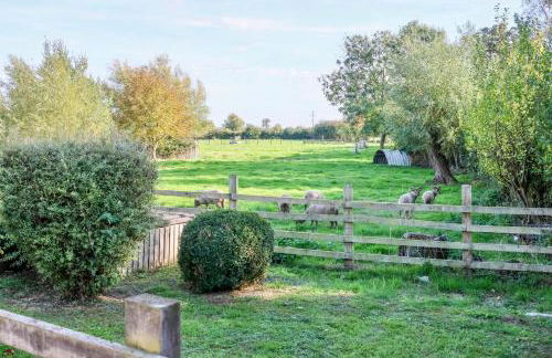 Tranquil and cosy cottage on the Somerset Levels - Photo 4
