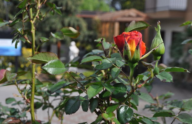 Agri Art Croce Vallone - Foto 37